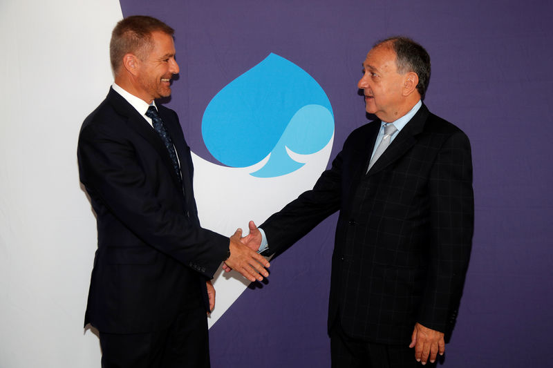© Reuters. Paul Hermelin, Chairman and CEO of Capgemini, and Dominique Cerutti, Chairman and CEO of Altran, shake hands after a news conference in Paris