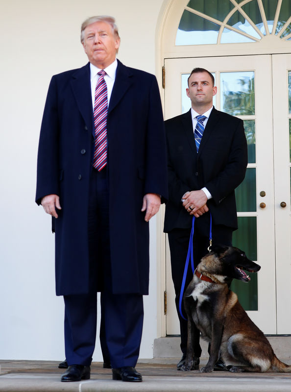 ترامب يستقبل الكلب الذي ساعد في مطاردة زعيم الدولة الإسلامية في البيت الأبيض