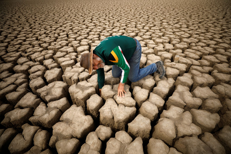 © Reuters. Hydrologist Gideon Groenewald feels cracks in the clay in the dried up municipal dam in drought-stricken Graaff-Reinet