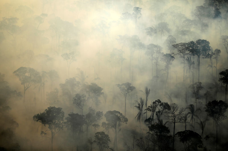 Negociadores do Brasil em cúpula do clima estão no escuro sobre objetivos de Bolsonaro