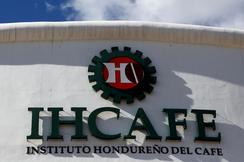 Honduran coffee exports jump nearly 44% in November