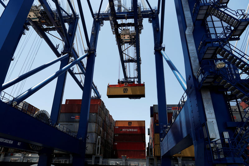 © Reuters. FILE PHOTO: A shipping container is unloaded from a neopanamax vessel at Wando Welch Terminal operated by the South Carolina Ports Authority in Mount Pleasant