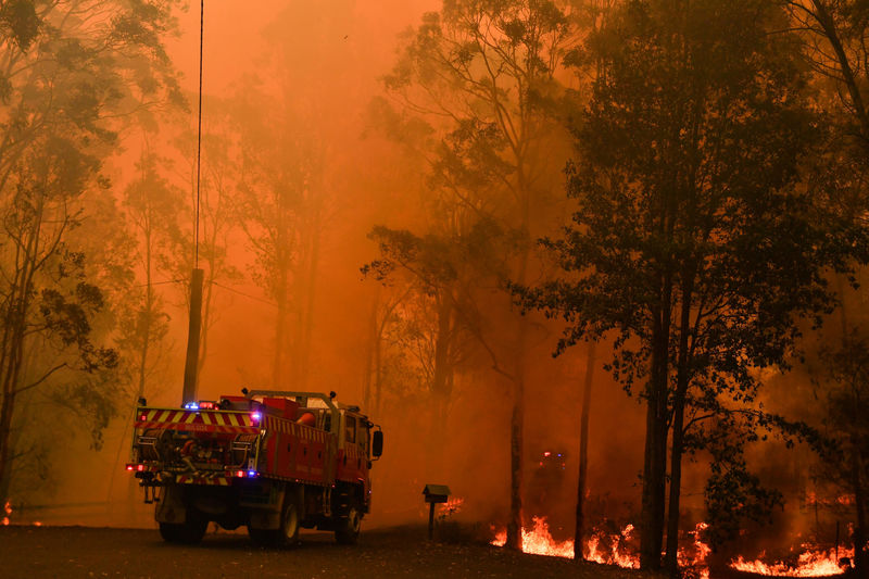 رجال إطفاء: حريق الغابات الضخم قرب سيدني قد يستمر لأسابيع