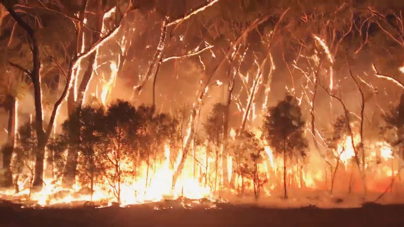 فرق الإطفاء بأستراليا تسعى لاحتواء حرائق الغابات قبل موجة حارة
