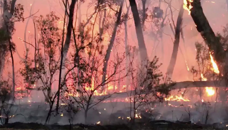 Australia braces for more fires as extreme temperatures predicted