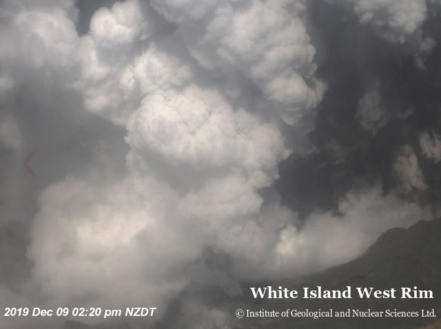 Inesperada erupción volcánica mata al menos 5 personas en Nueva Zelanda, varios desaparecidos