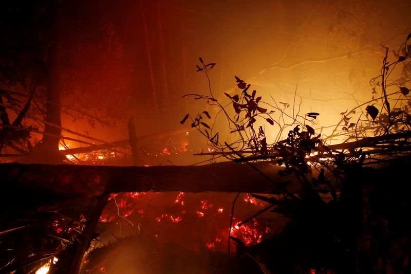 World Bank says Indonesia forest fires cost $5.2 billion in economic losses