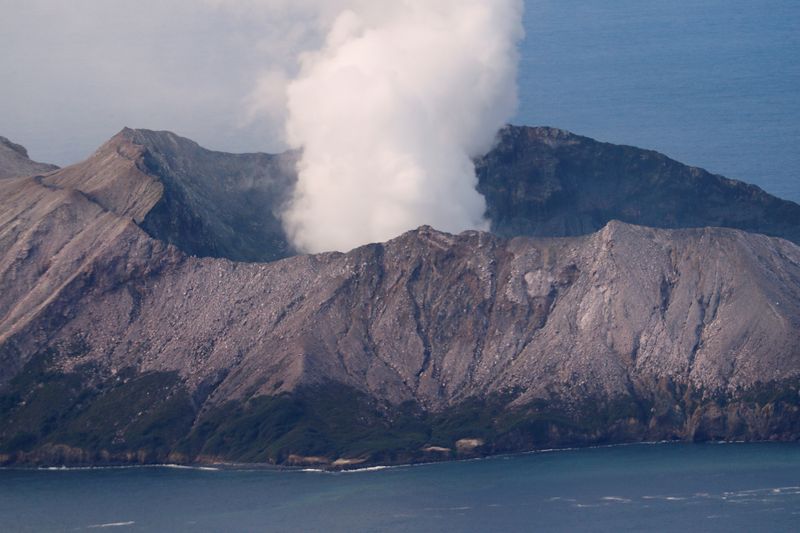 © Reuters. An aerial view of the Whakaari, also known as White Island volcano, in New Zealand