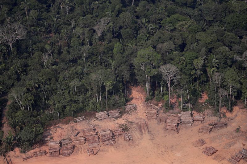 Desmatamento em áreas indígenas em 2019 é o maior em 11 anos, mostra estudo