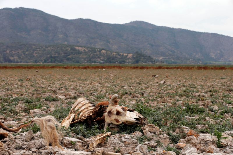 La sequía golpea el suministro de agua potable en Chile