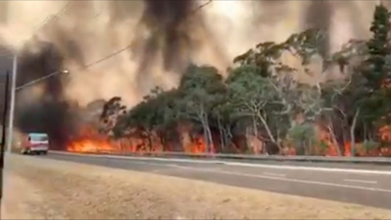 حرائق الغابات تصل إلى مستوى الطوارئ على أطراف مدينة سيدني الأسترالية