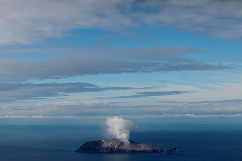 ＮＺ火山噴火、不明者2人の捜索中止＝警察