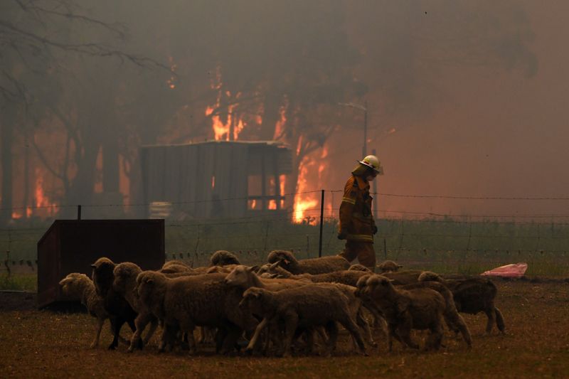 رجال الإطفاء في أستراليا يمضون يوم عيد الميلاد في مكافحة حرائق الغابات