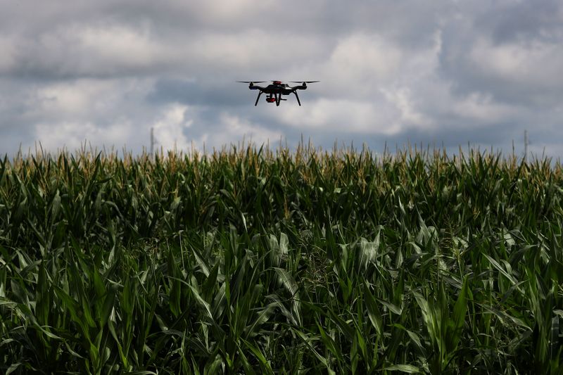 © Reuters. A drone is used to survey a corn research field in College Station, Texas