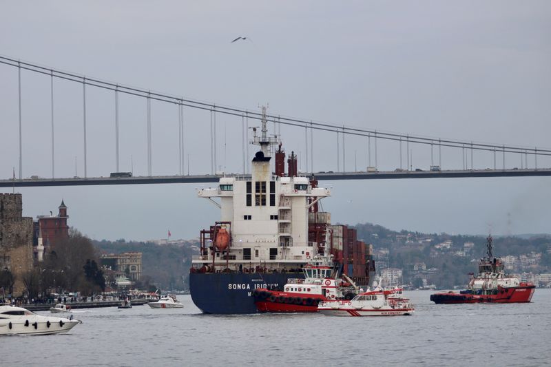 © Reuters. اصطدام سفينة بضائع بالشاطئ في مضيق البوسفور باسطنبول