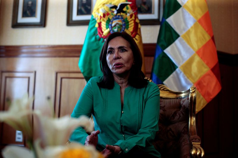 Bolivia is not a Mexican colony, acting foreign minister Longaric tells El Pais