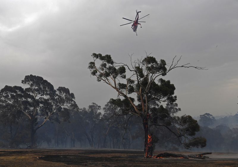 &quot;Colunas de fogo&quot; da Austrália forçam retirada em massa e causam 9ª morte