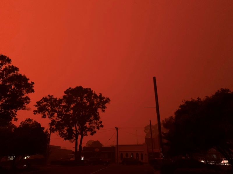 عدد قتلى حرائق الغابات بأستراليا يرتفع إلى 15 والسلطات تسارع لنجدة الضحايا