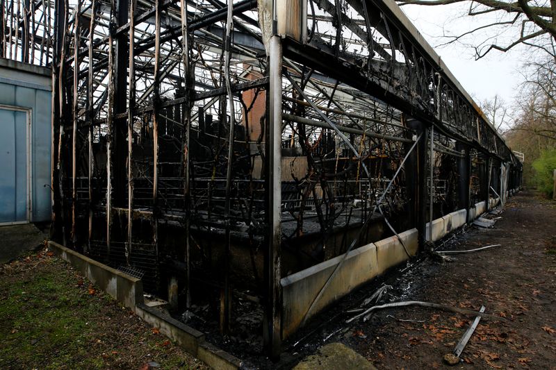© Reuters. نفوق عشرات الحيوانات في حريق بحديقة حيوان في ألمانيا