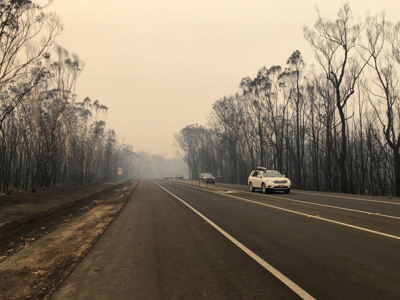 © Reuters. Bushland burned out by bushfires surrounds the Princes Highway in Ulladulla