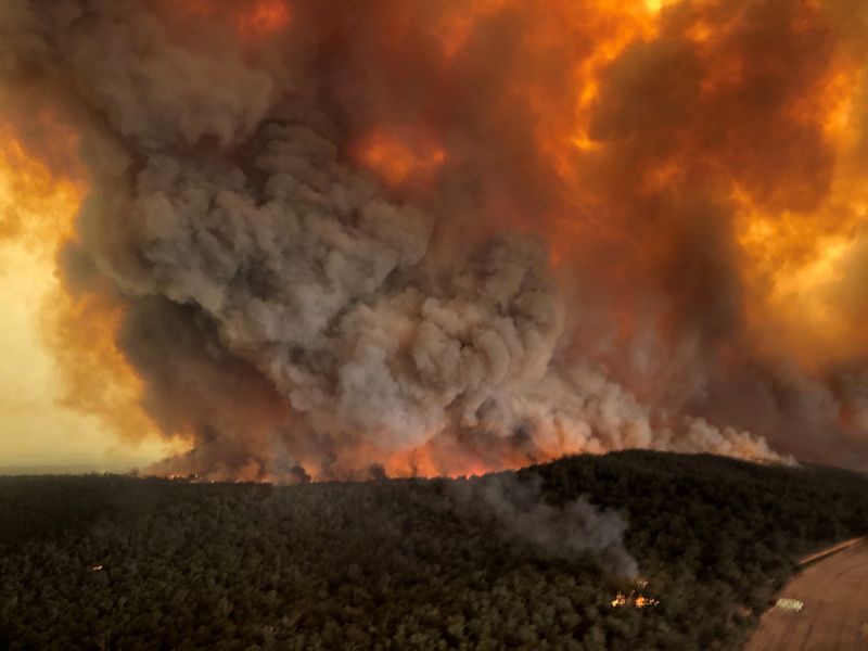 Incêndios florestais em cidades turísticas da Austrália forçam retiradas em massa