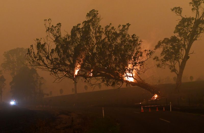 © Reuters. Bushfires in New South Wales