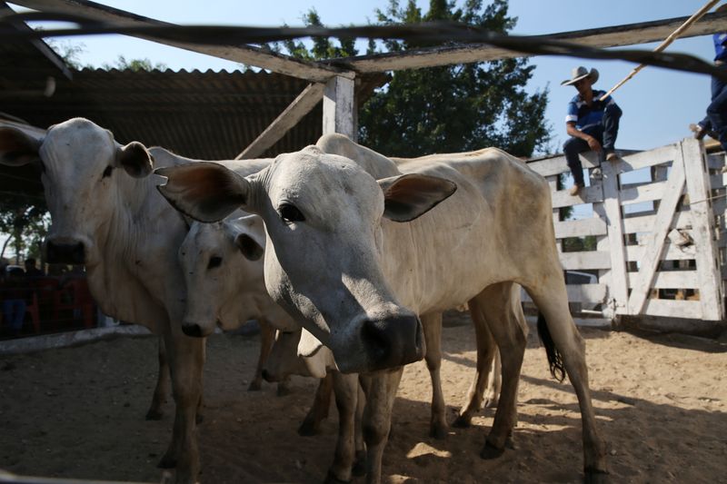 Exportação de carne bovina do Brasil tem volume e receita recordes em 2019, diz Abiec