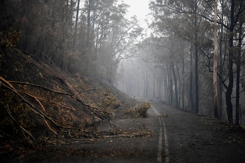 Australian job ads dive in December as bushfires take a toll