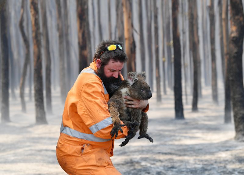 Australia fortalece defensas contra incendios mientras aumentan los costes de la crisis