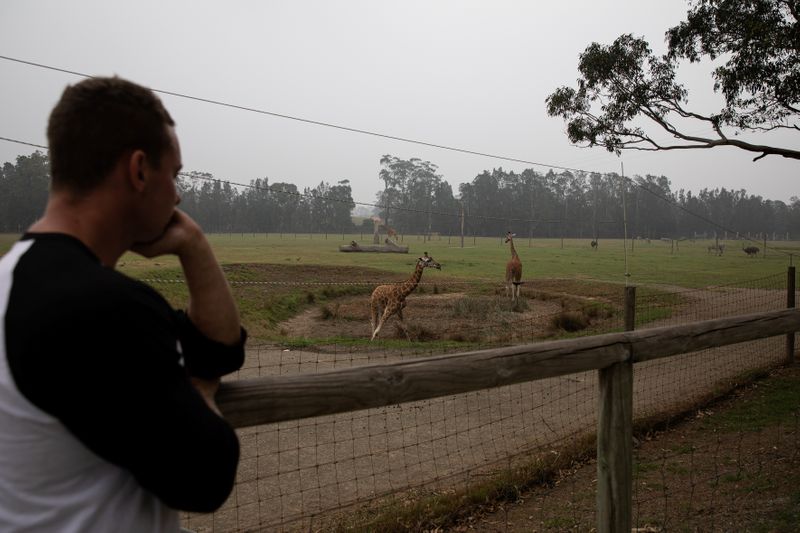 Empleados de un zoológico combaten el incendio para salvar a su &quot;familia animal&quot; en Australia