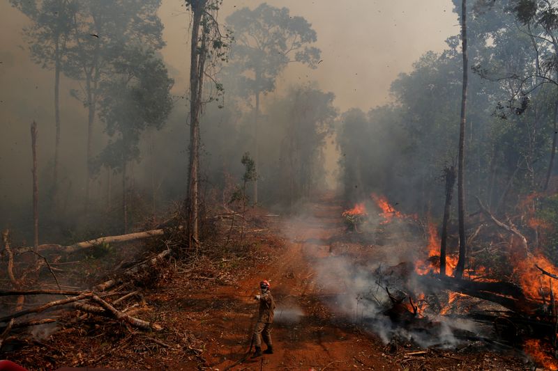 © Reuters. Foto de archivo. Un bombero combate las llamas en un incendio forestal en la ciudad de Uniao do Sul, en Mato Grosso