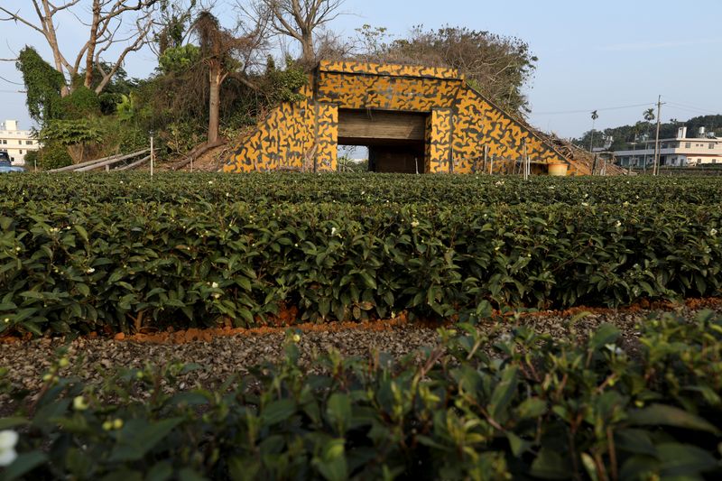 © Reuters. The Wider Image: From tool of war to photo op, Taiwanese repurpose old bunkers