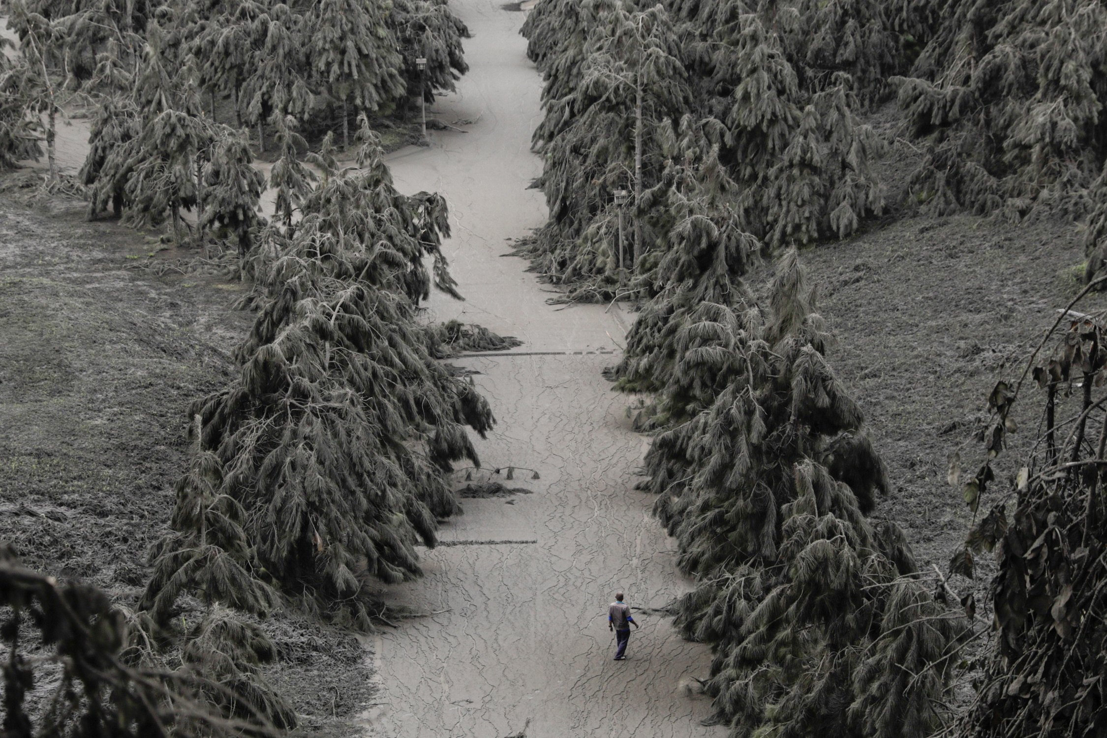 © Reuters. A man walks on a road blanketed with volcanic ash from the erupting Taal Volcano in Tagaytay, Philippines