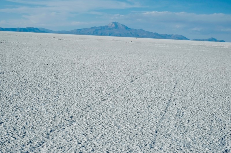 Exclusive: Bolivia's new lithium tsar says country should go it alone