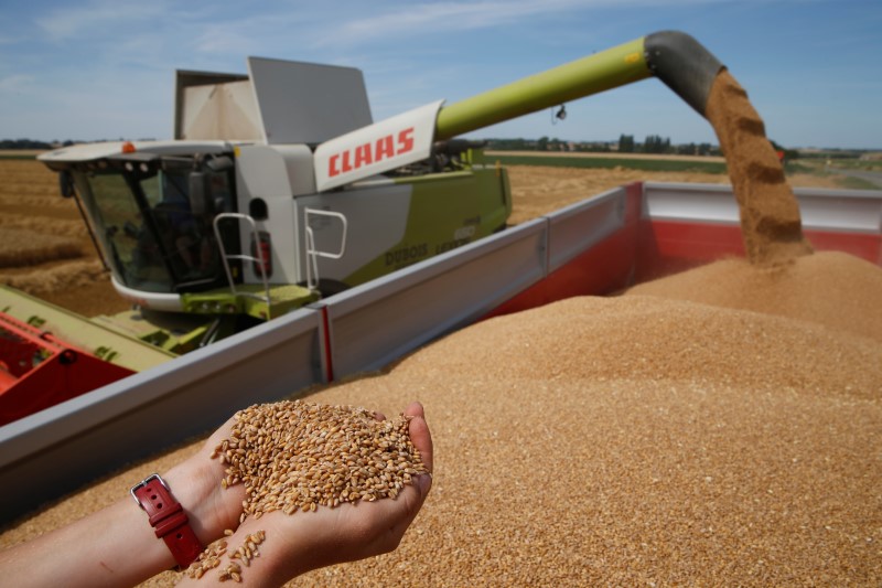 Soja, milho e trigo caem em Chicago com dúvidas sobre demanda da China após acordo