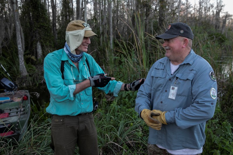 © Reuters. Thomas Aycock talks with a fellow hunter as they explore the Everglades' swamps looking for Burmese pythons, in Ochopee
