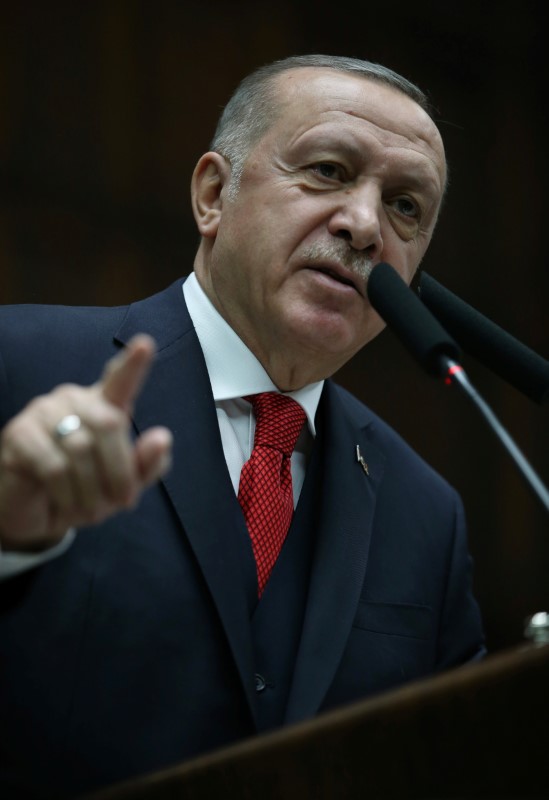 © Reuters. أردوغان يدعو أوروبا إلى دعم تحركات تركيا في ليبيا