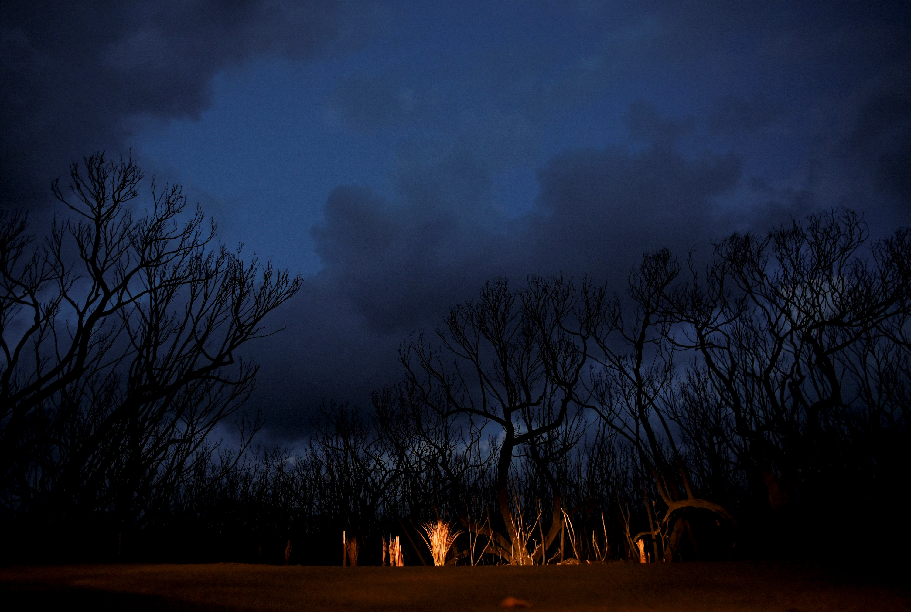 © Reuters. Bushfires in Kangaroo Island, Australia