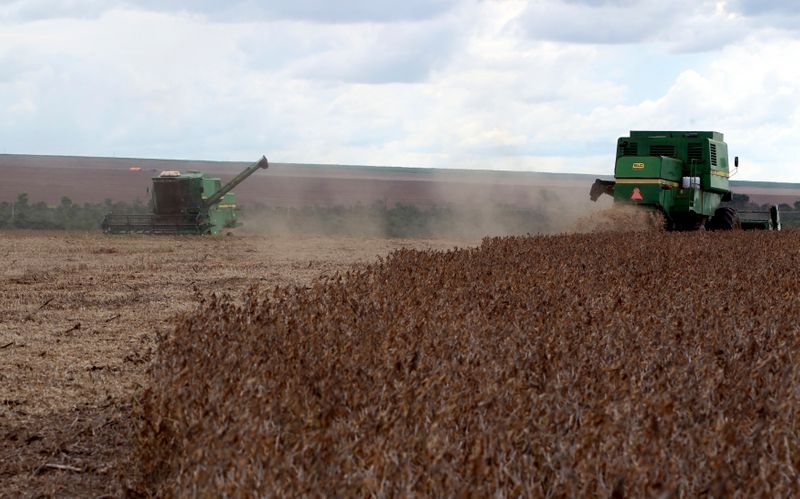 Colheita de soja 2019/20 do Brasil vai a 1,8% da área, puxada por MT, diz AgRural