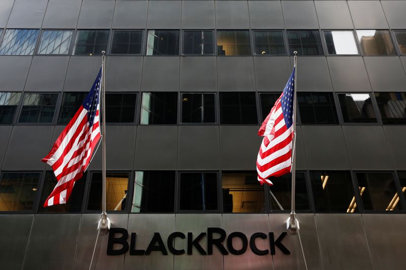 BlackRock y sus socios buscan captar 500 mlns de dólares para un fondo climático
