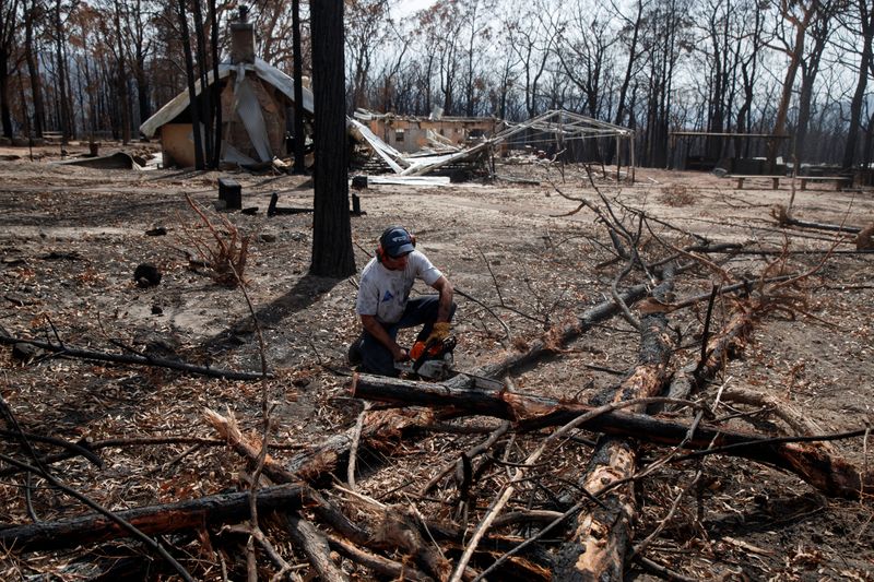 © Reuters. Local Will Baker cuts dead trees at the Kangaroo Valley Bush Retreat after a wildfire in Kangaroo Valley