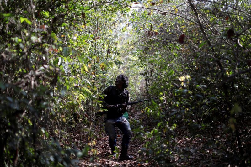 Emissões em terras protegidas e indígenas na Amazônia são as menores da região, dizem cientistas