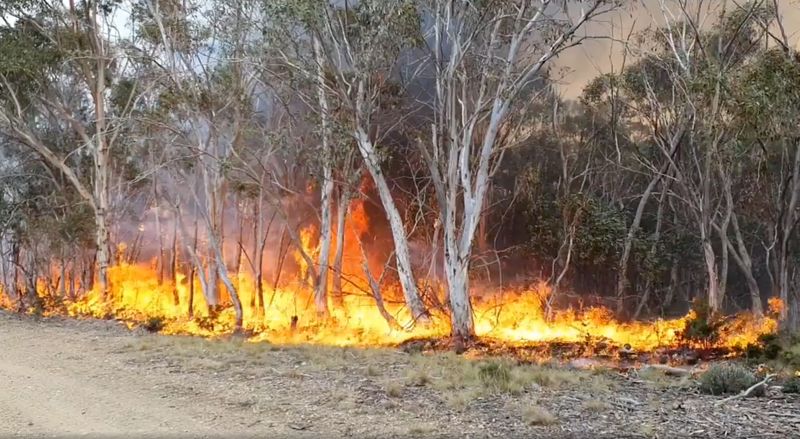 Ondas de calor e ventos fortes ameaçam reacender incêndios na Austrália