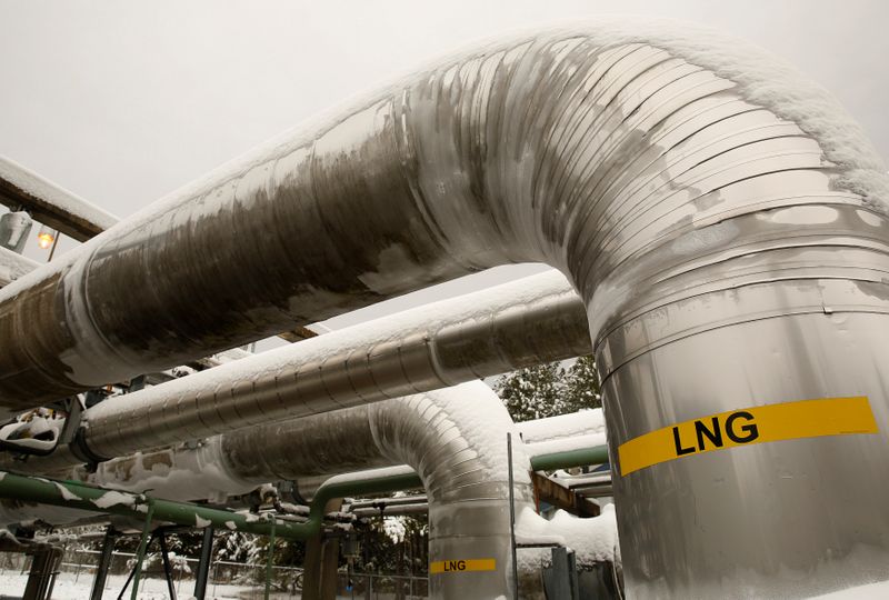 © Reuters. FILE PHOTO: Snow covered transfer lines are seen at the Dominion Cove Point Liquefied Natural Gas terminal in Maryland