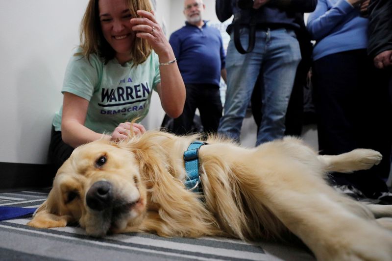 Democrat Warren sends star stand-in to Iowa: her dog Bailey