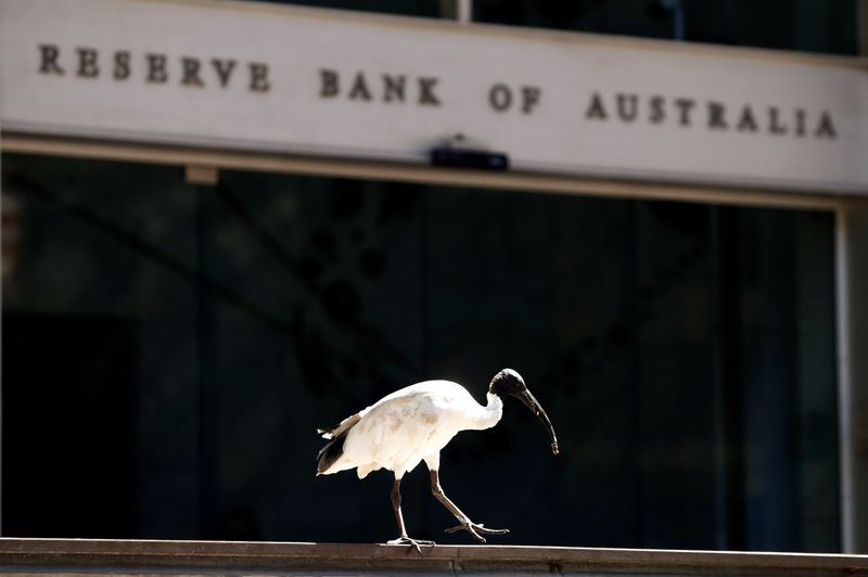 © Reuters. An ibis bird perches next to the Reserve Bank of Australia headquarters in central Sydney