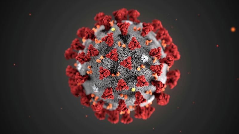 DATOS CLAVE-Lo que se sabe y lo que se ignora del nuevo coronavirus