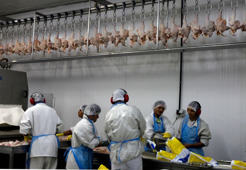 © Reuters. Processamento de frangos em frigorífico em Itatinga (SP)