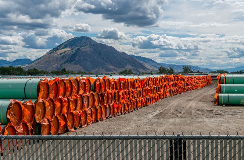 © Reuters. FILE PHOTO: Steel pipe for Canadian government’s Trans Mountain Expansion Project lies at a stockpile site in Kamloops