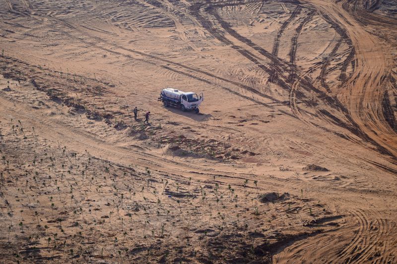 © Reuters. FILE PHOTO: The Wider Image: Fishermen cry foul as China bids to fix drought-hit lake